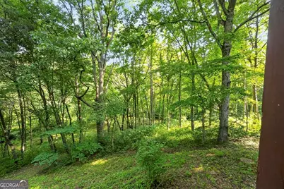 245 Sunrise Valley Road, Blue Ridge, GA 30513 - Photo 37
