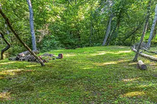 245 Sunrise Valley Rd, Blue Ridge, GA 30513 - Photo 41