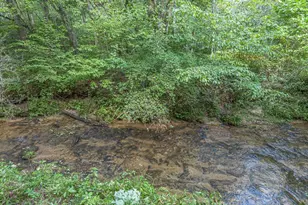 245 Sunrise Valley Rd, Blue Ridge, GA 30513 - Photo 45