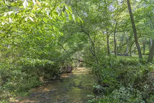245 Sunrise Valley Rd, Blue Ridge, GA 30513 - Photo 43