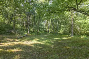 245 Sunrise Valley Rd, Blue Ridge, GA 30513 - Photo 47