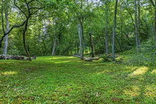 245 Sunrise Valley Rd, Blue Ridge, GA 30513 - Photo 7