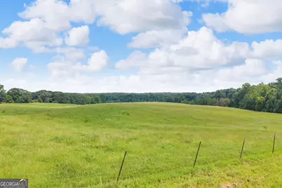 2785 Stanley Maxwell Road, Bowman, GA 30624 - Photo 37