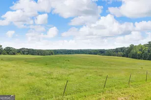 2785 Stanley Maxwell Rd, Bowman, GA 30624 - Photo 37