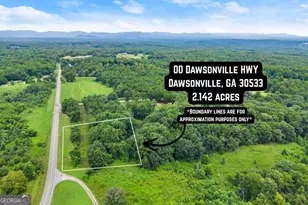 0 Tract 2A Dawsonville Hwy, Dawsonville, GA 30534 - Photo 1