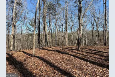 131 Nicholson Lane, Talking Rock, GA 30175 - Photo 5