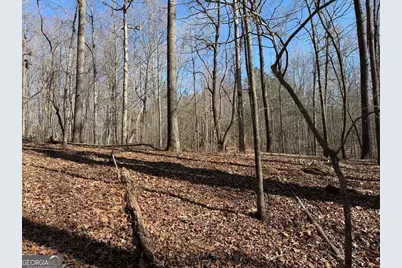 131 Nicholson Lane, Talking Rock, GA 30175 - Photo 3