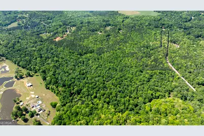 0 Highway 54 & Bear Creek Road #120.92+/- ACRES, Moreland, GA 30259 - Photo 19