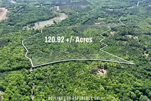 0 Hwy 54 & Bear Creek Rd, Moreland, GA 30259 - Photo 1