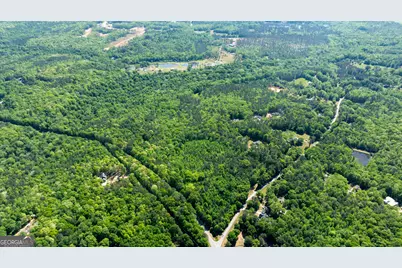 0 Highway 54 & Bear Creek Road #120.92+/- ACRES, Moreland, GA 30259 - Photo 7