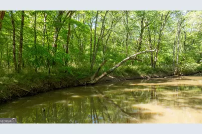 0 Highway 54 & Bear Creek Road #120.92+/- ACRES, Moreland, GA 30259 - Photo 3