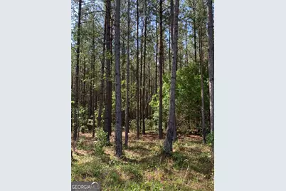 0 Pollett Road #LOT 29, Bartow, GA 30413 - Photo 3