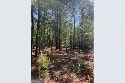 0 Pollett Road #LOT 29, Bartow, GA 30413 - Photo 1