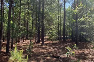 0 Pollett Rd, Bartow, GA 30413 - Photo 1