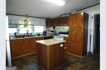2489 Mosley Road, Claxton, GA 30417 - Photo 5