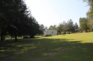 2489 Mosley Rd, Claxton, GA 30417 - Photo 25