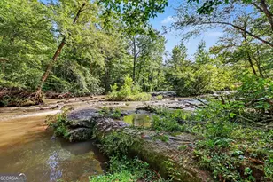 17 Moon Ridge, Newnan, GA 30263 - Photo 59