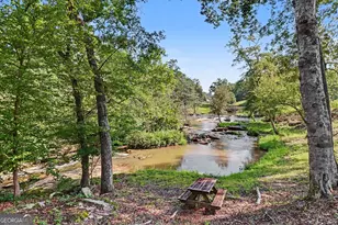 17 Moon Ridge, Newnan, GA 30263 - Photo 51