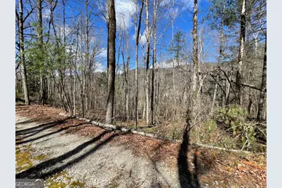 0 Bridge Creek Road, Tiger, GA 30576 - Photo 1