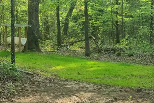 961 Chestnut Hill Rd, Fort Valley, GA 31030 - Photo 3