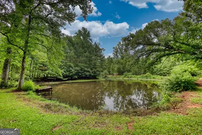 12621 Highway 142, Oxford, GA 30054 - Photo 49