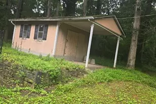 270 South Dr, Hampton, GA 30228 - Photo 55