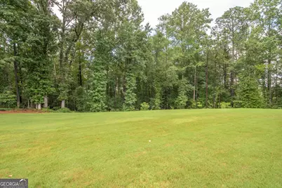 33 Ryeland Drive, Senoia, GA 30276 - Photo 73