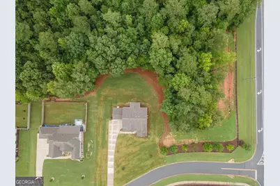 33 Ryeland Drive, Senoia, GA 30276 - Photo 77