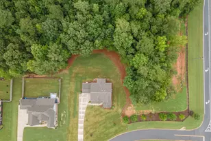 33 Ryeland Dr, Senoia, GA 30276 - Photo 77