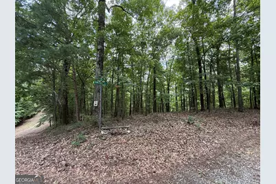 Lot 1065 Mayfield Lane, Ranger, GA 30734 - Photo 13