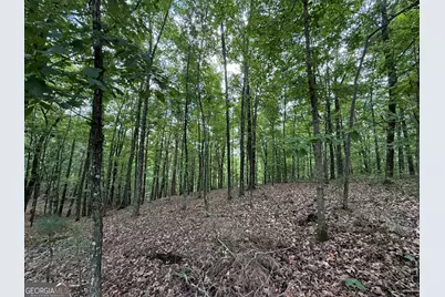 Lot 1065 Mayfield Lane, Ranger, GA 30734 - Photo 9