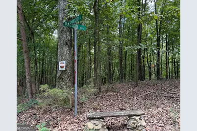 Lot 1065 Mayfield Lane, Ranger, GA 30734 - Photo 1