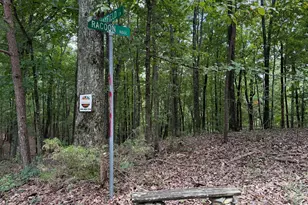 Lot 1065 Mayfield Ln, Ranger, GA 30734 - Photo 1