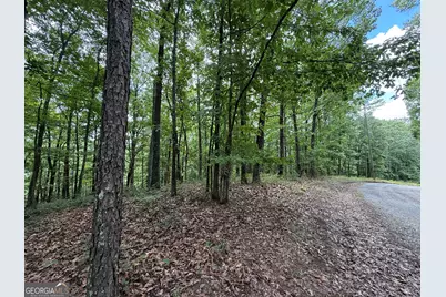Lot 1065 Mayfield Lane, Ranger, GA 30734 - Photo 7