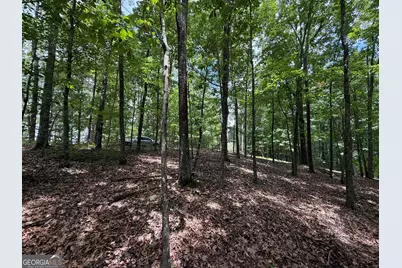 Lot 1065 Mayfield Lane, Ranger, GA 30734 - Photo 5