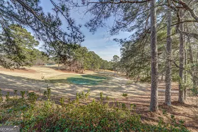 326 E Mourning Dove Court, Monticello, GA 31064 - Photo 61