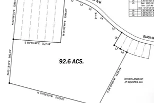 0 Black Springs Rd, Milledgeville, GA 31061 - Photo 1