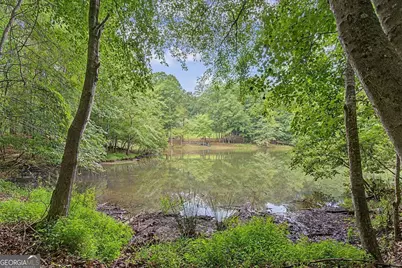 590 S Alexander Creek Road, Newnan, GA 30263 - Photo 47