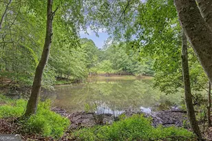 590 S Alexander Creek Rd, Newnan, GA 30263 - Photo 47