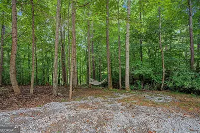 590 S Alexander Creek Road, Newnan, GA 30263 - Photo 45