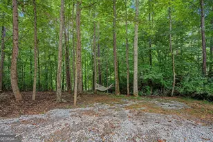 590 S Alexander Creek Rd, Newnan, GA 30263 - Photo 45