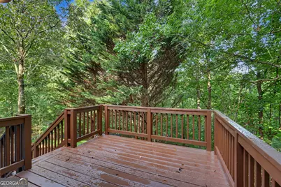 205 Spring Branch Road, Demorest, GA 30535 - Photo 33