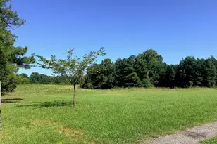 6090 Strickland Town Rd, Luthersville, GA 30251 - Photo 7