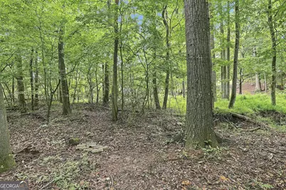 413 Lees Mill Road, Fayetteville, GA 30214 - Photo 49