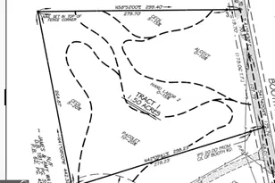 0 Booth Rd, Statham, GA 30666 - Photo 1