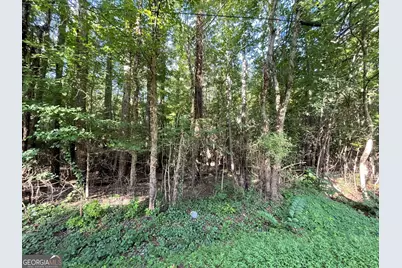 7154 Old Highway 411, Chatsworth, GA 30705 - Photo 3