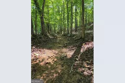 0 Millen Road, Monticello, GA 31064 - Photo 15