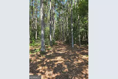 0 Millen Road, Monticello, GA 31064 - Photo 7