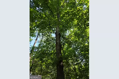 0 Millen Road, Monticello, GA 31064 - Photo 19