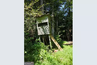 0 Millen Road, Monticello, GA 31064 - Photo 17